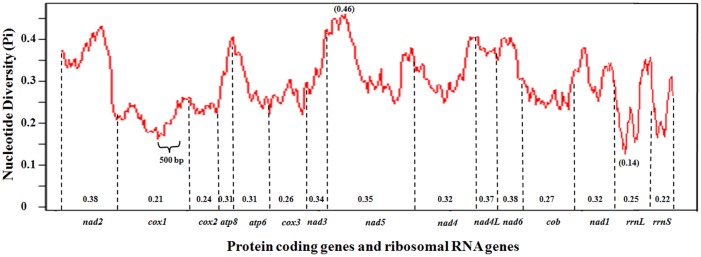 Fig 5