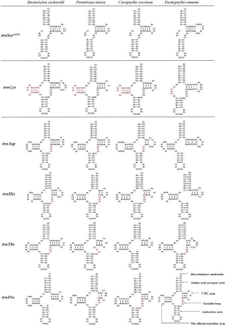 Fig 7