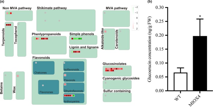 Figure 12