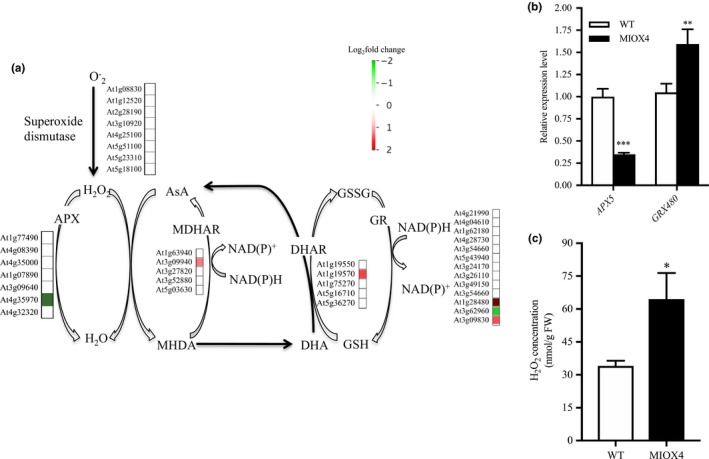 Figure 10