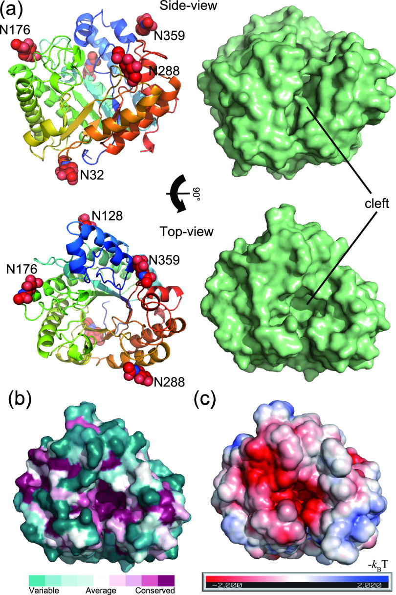 FIG 3