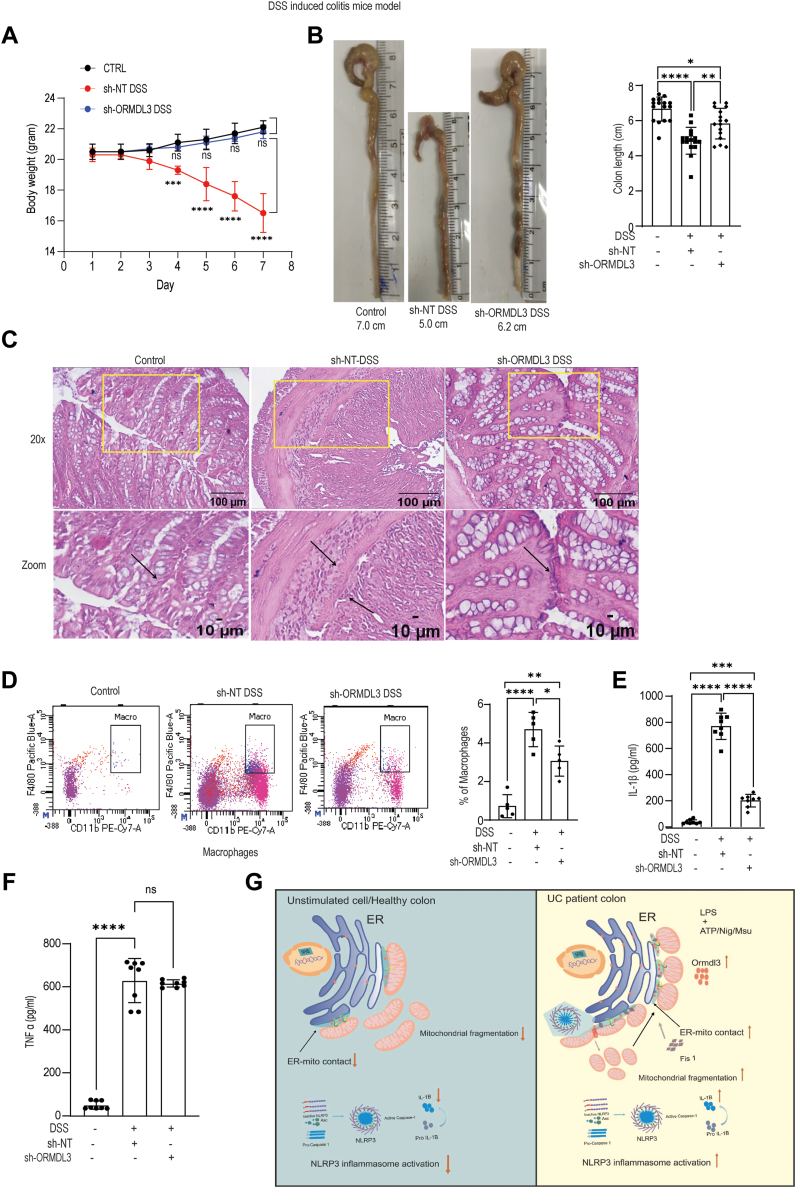 Figure 6