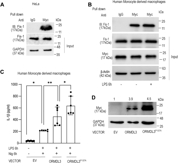 Figure 5