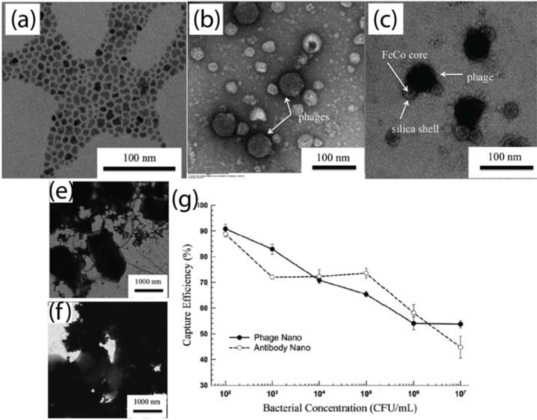 Fig. 10