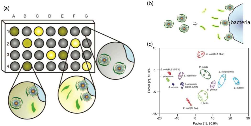 Fig. 12