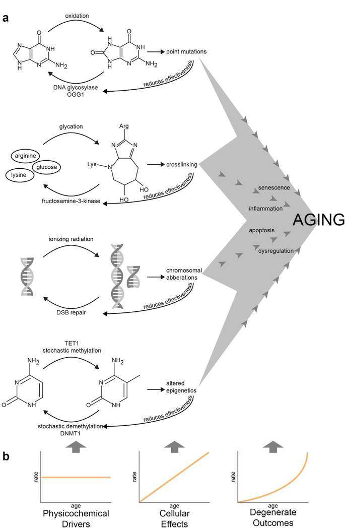 Figure 1-