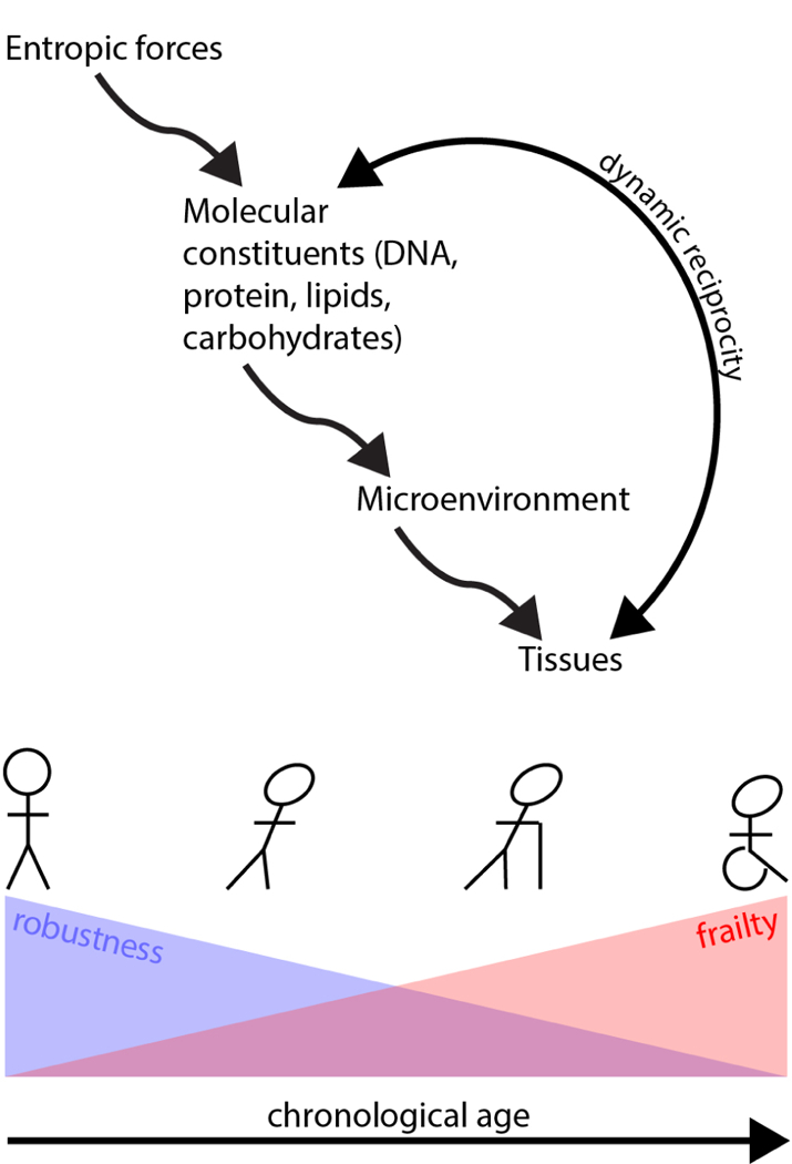 Figure 3-