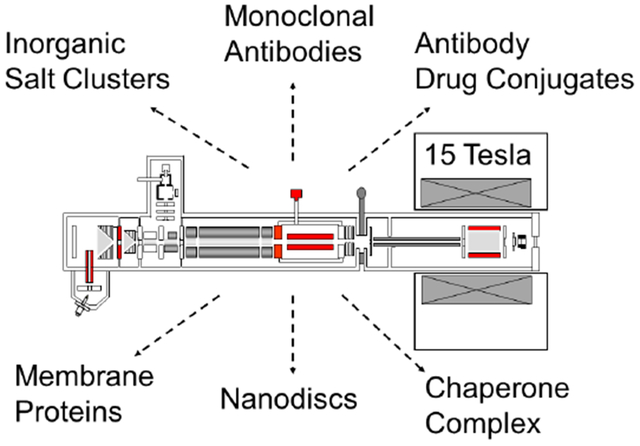 graphic file with name nihms-1592871-f0001.jpg