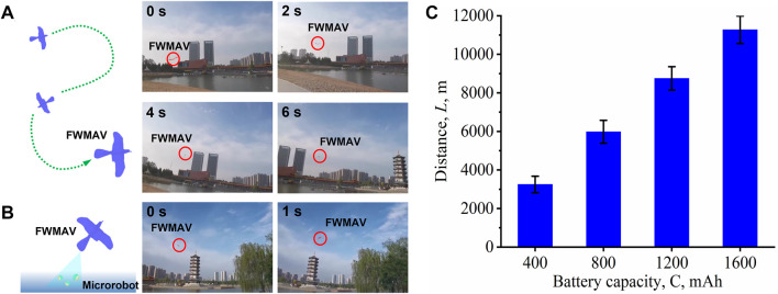 FIGURE 3