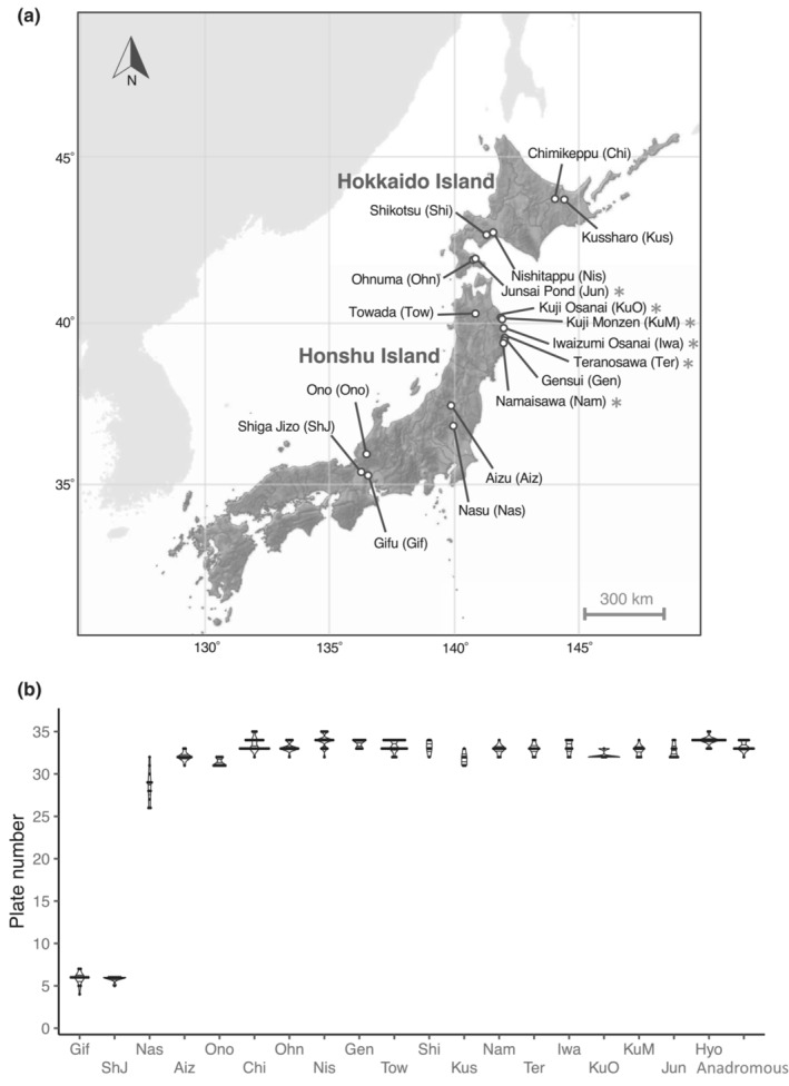 FIGURE 1