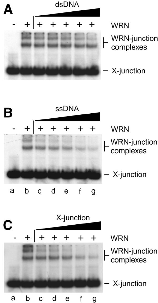 graphic file with name kvd00403.jpg