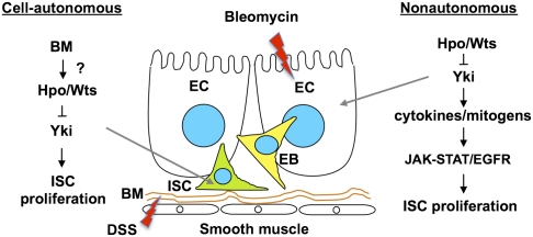 Fig. 6.