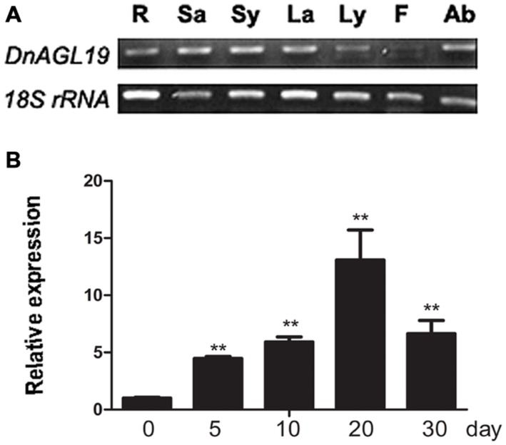 FIGURE 3