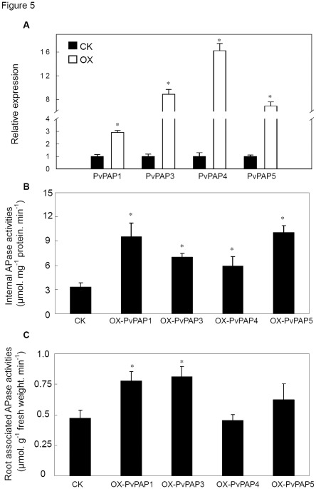 Figure 5