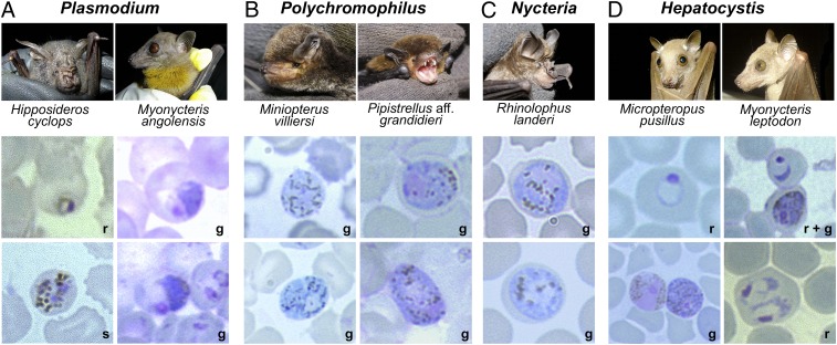 Fig. 3.