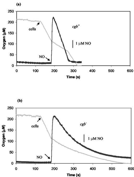 FIG. 5.