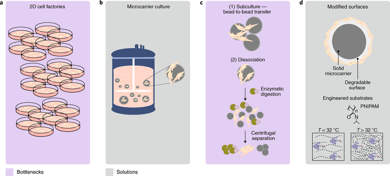 Fig. 2 |