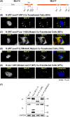 FIG 6