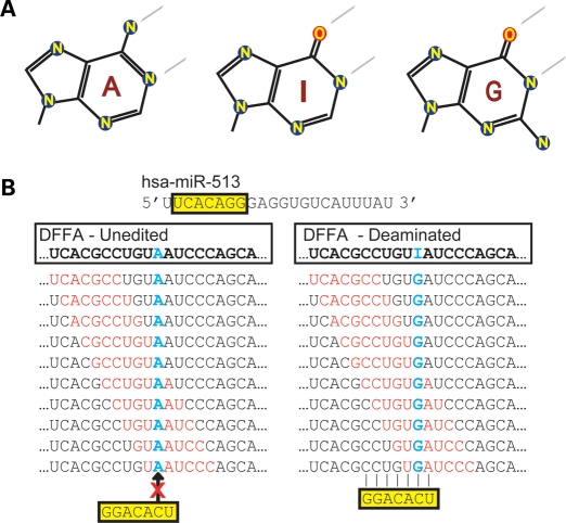 Figure 1.