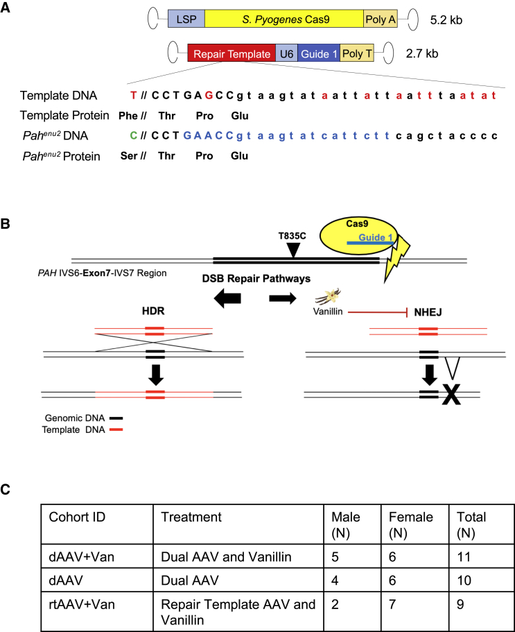 Figure 1