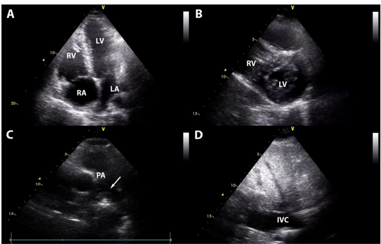 FIGURE 1: