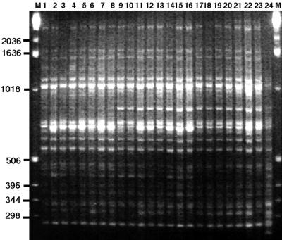 FIG. 1