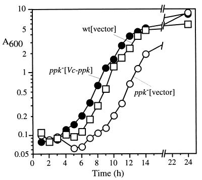 FIG. 5