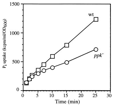 FIG. 6