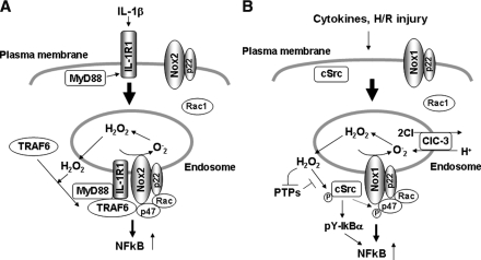 FIG. 5.