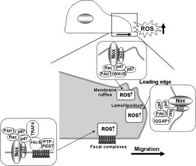 FIG. 4.