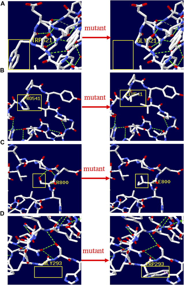 FIGURE 1