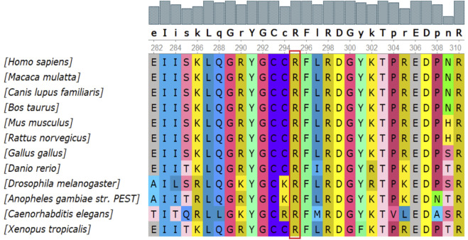 FIGURE 2