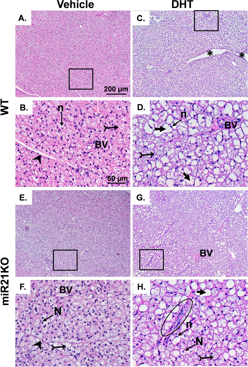 Fig. 6