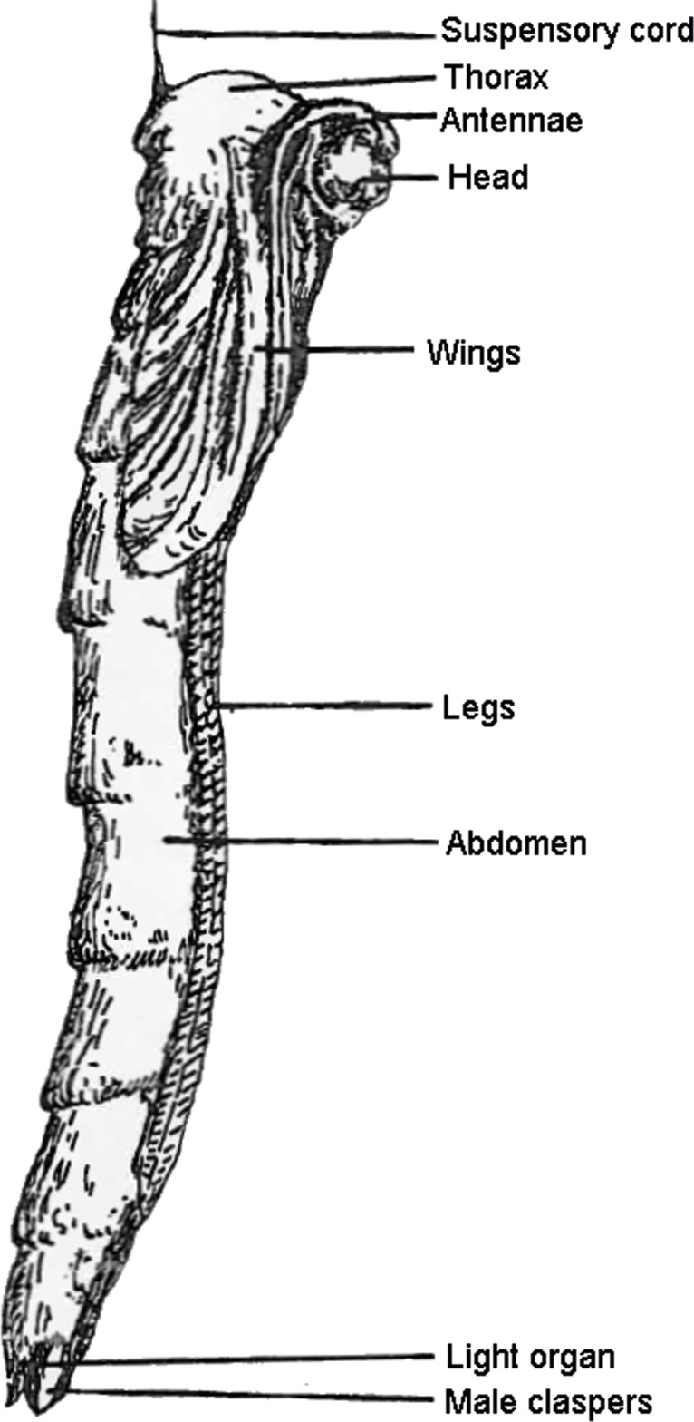 Fig 2