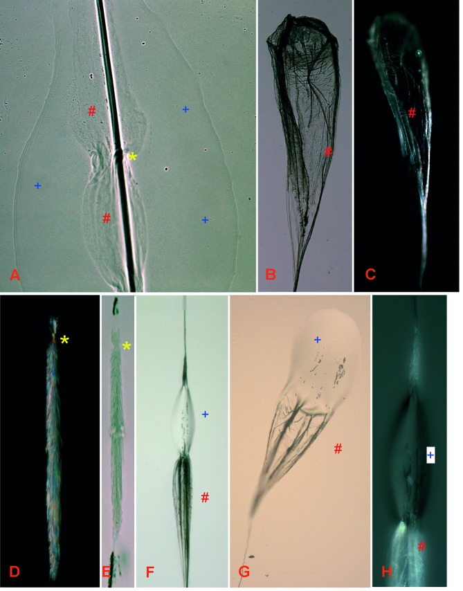 Fig 6