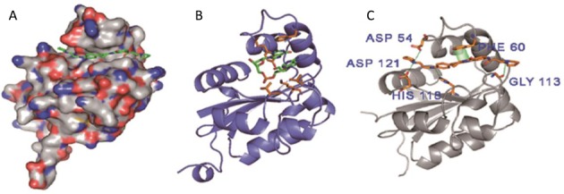 Figure 7.