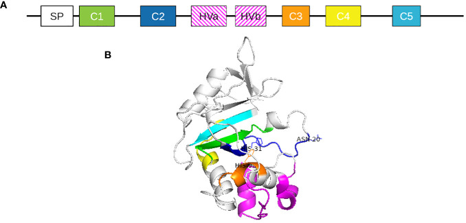 Figure 4