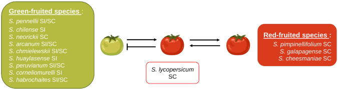 Figure 6