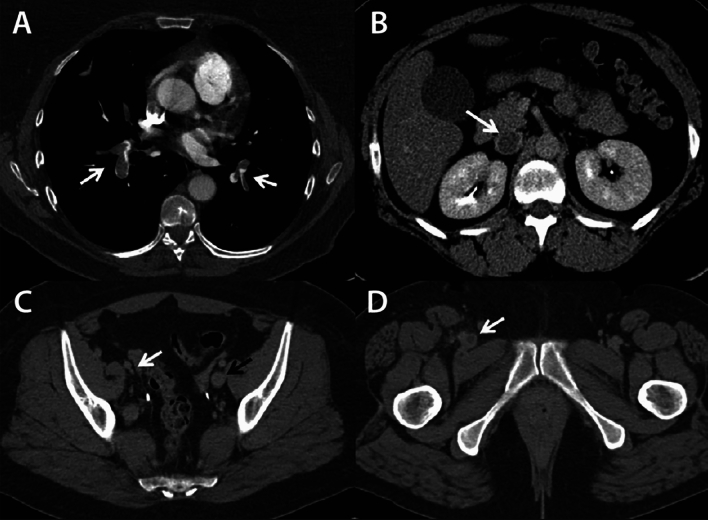 Fig. 4