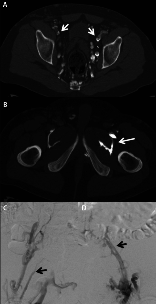 Fig. 5