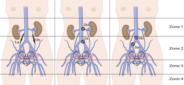 Fig. 10
