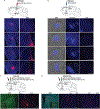 Extended Data Figure 4: