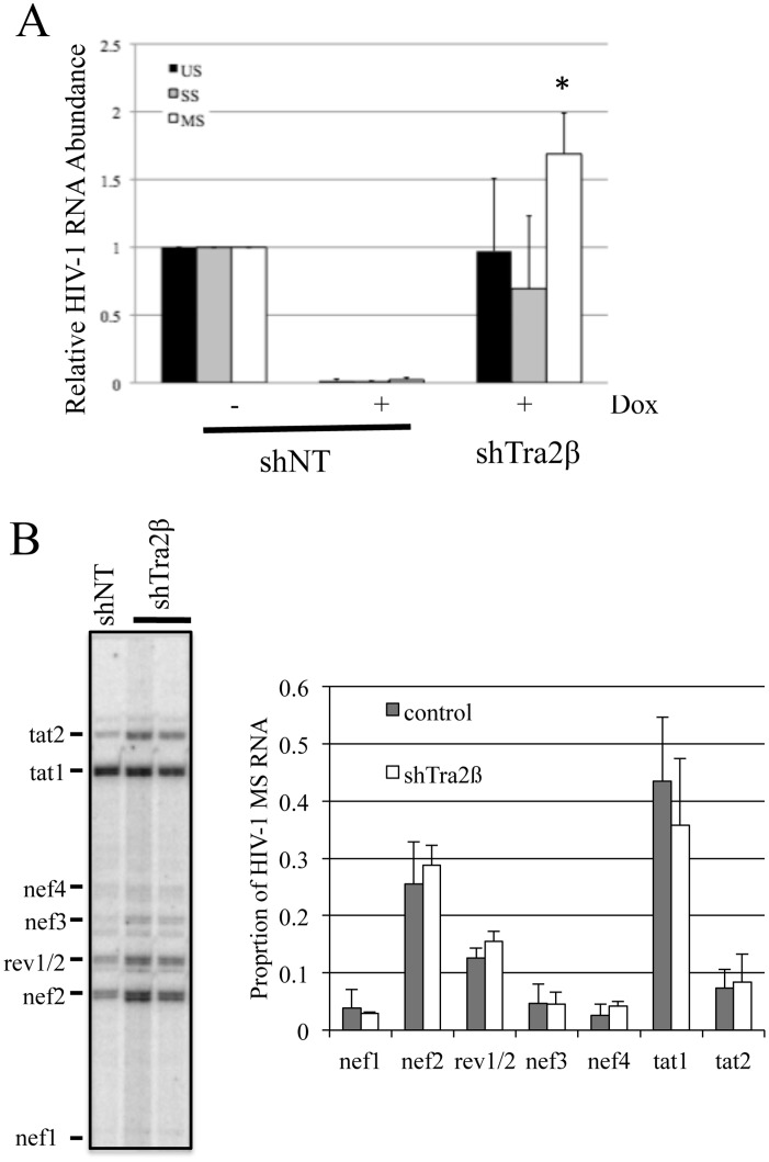 Fig 9