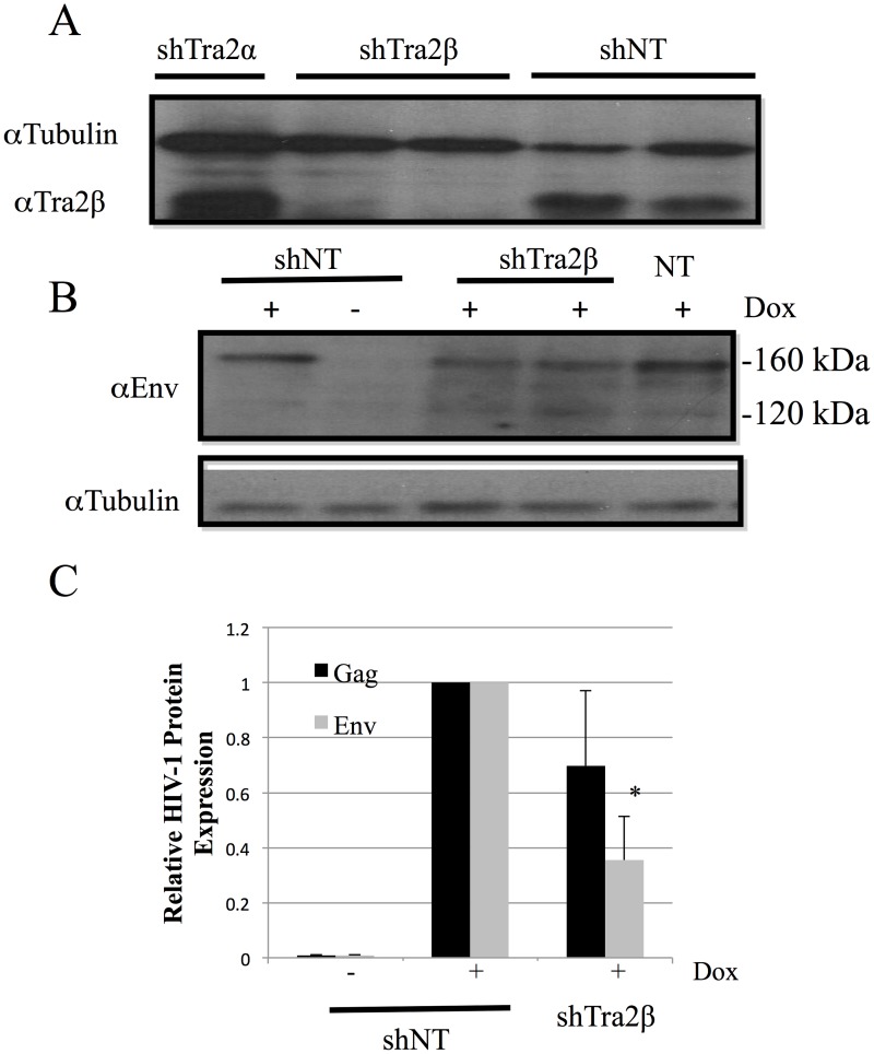 Fig 8