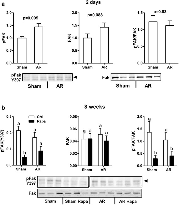 Fig. 6