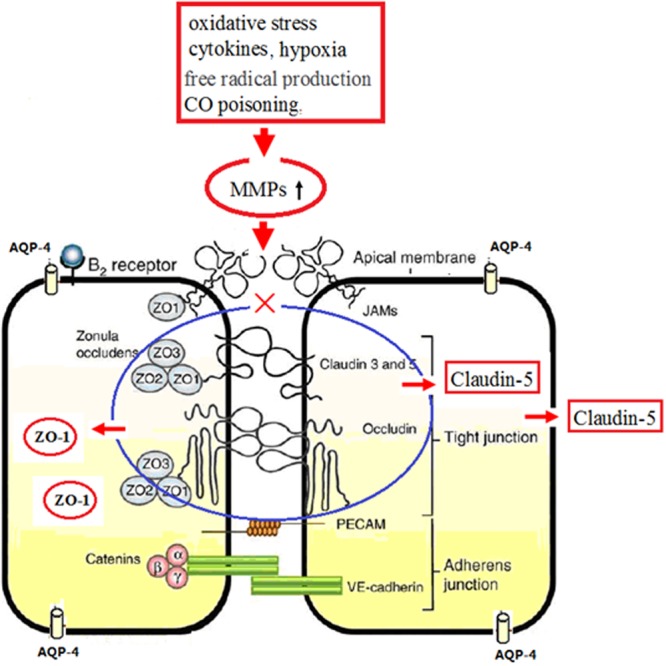 FIGURE 11