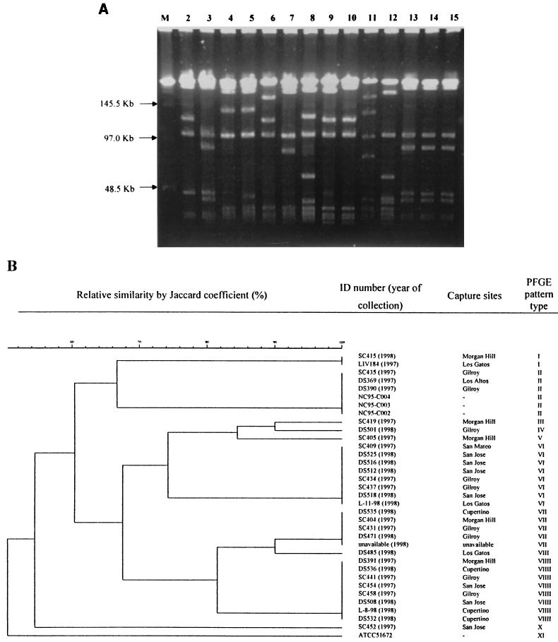 FIG. 5