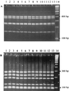 FIG. 3