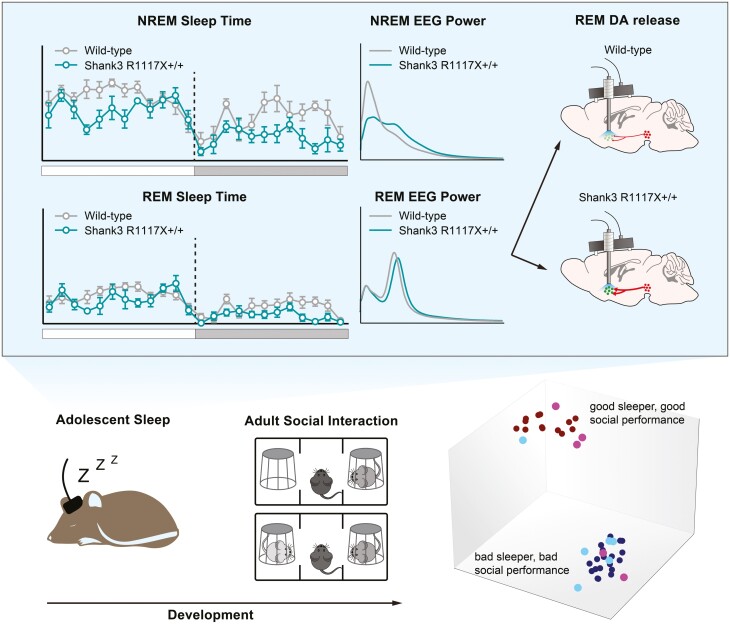 Graphical Abstract