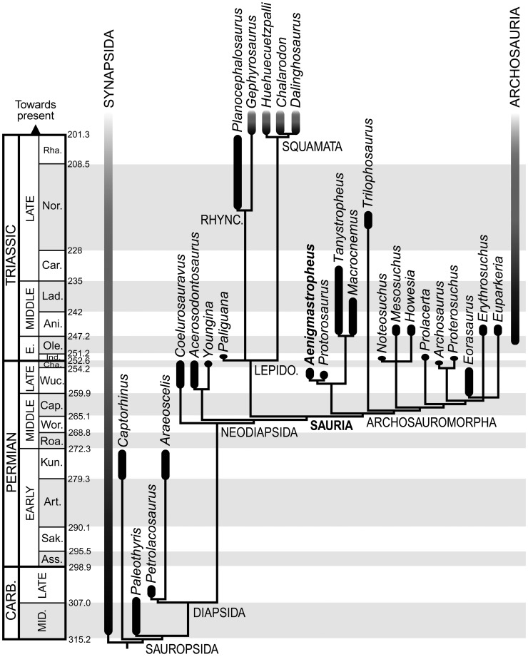 Figure 19